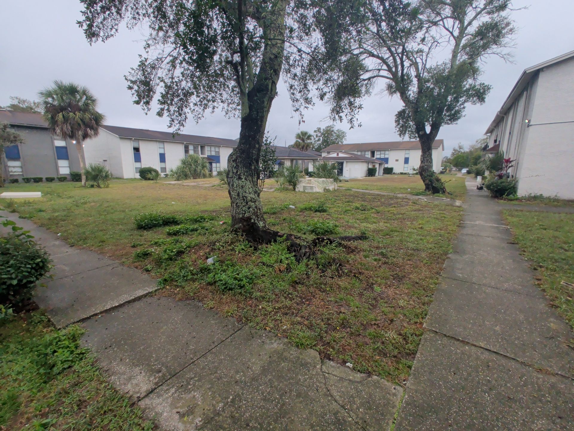 Commercial Landscape Cleanup & Weekly Maintenance — Grassy Pond Apartments by Harmoni Home Services