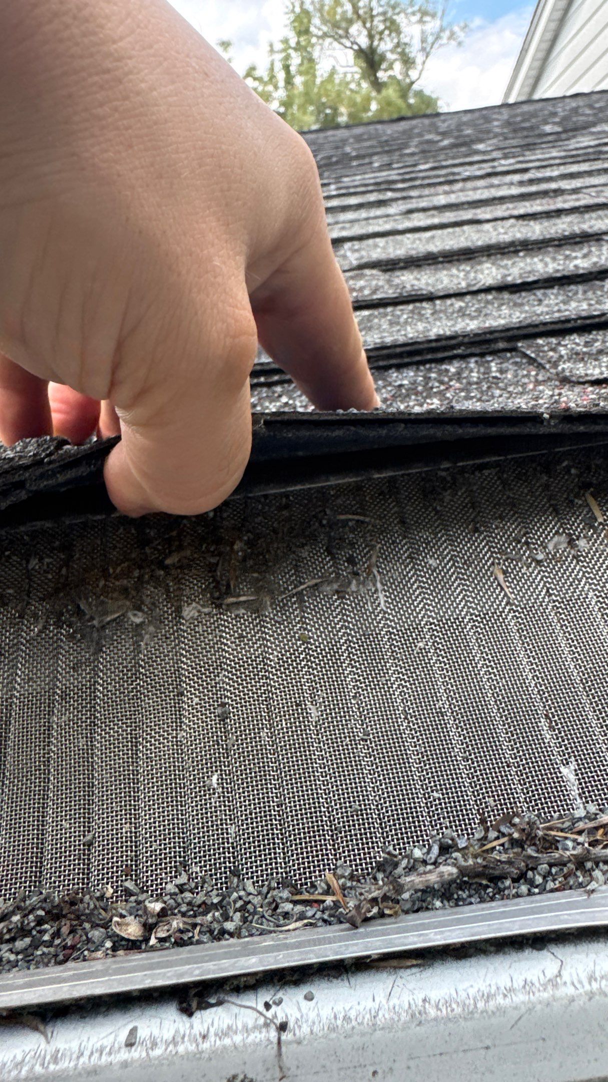 Roof Replacement using Malarkey Black Oak by 180 Contractors