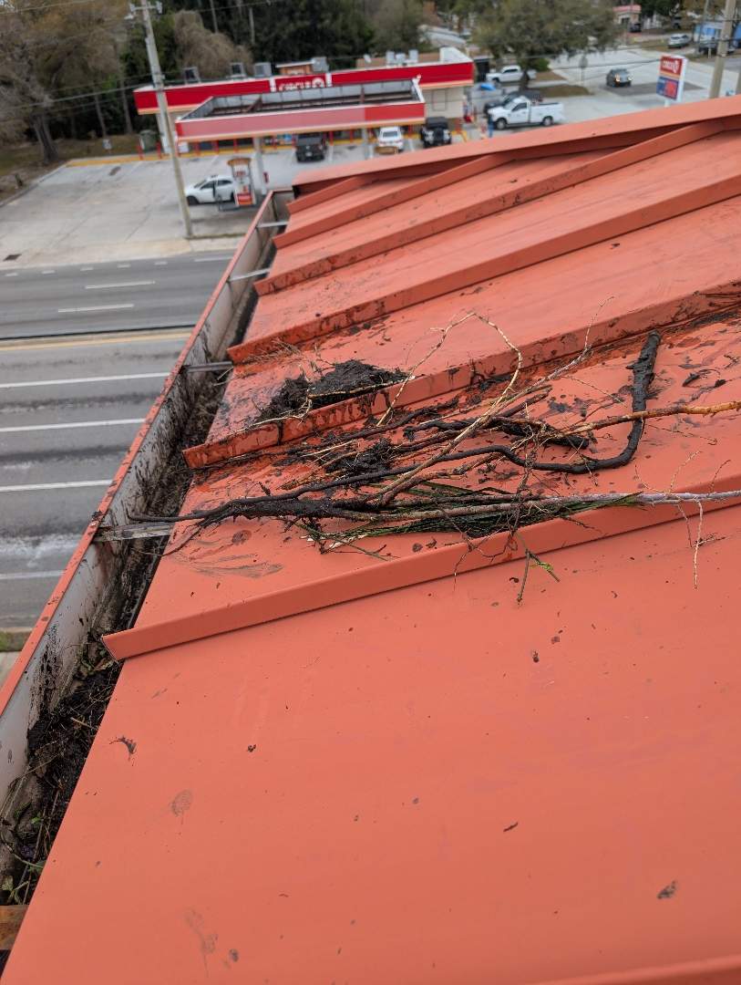 Retail roof & gutter cleaning before cleaning photo.