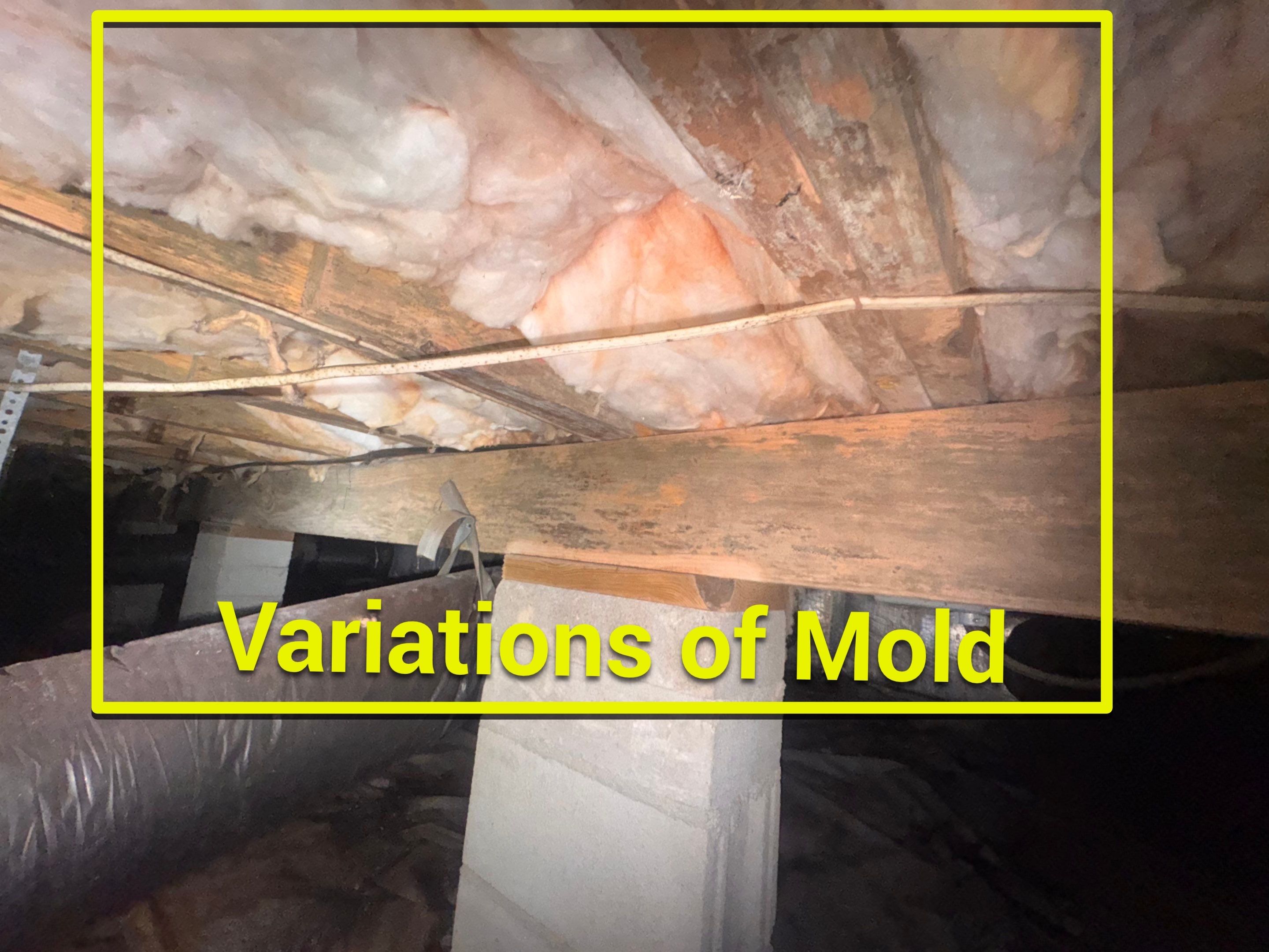 Moisture Barrier, Mold Clean, Structural Repair, Dehumidifier, R19 Insulation. by Impact Crawlspace