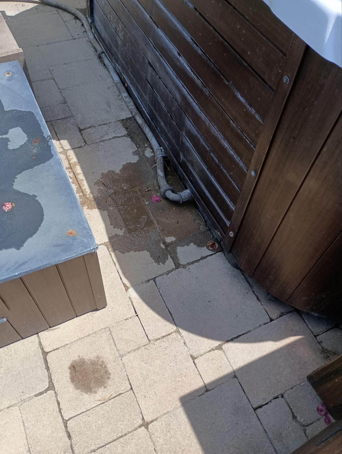 Leaking Circ Pump by Action Spa Repair LLC