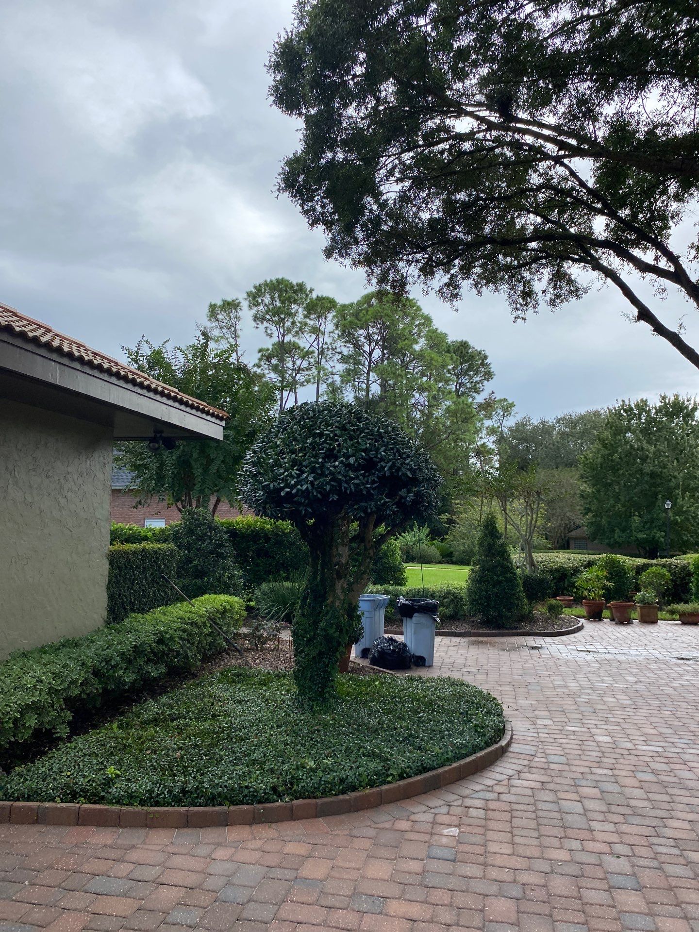 Deerwood Resident | Shrub Work by ProGreen Services