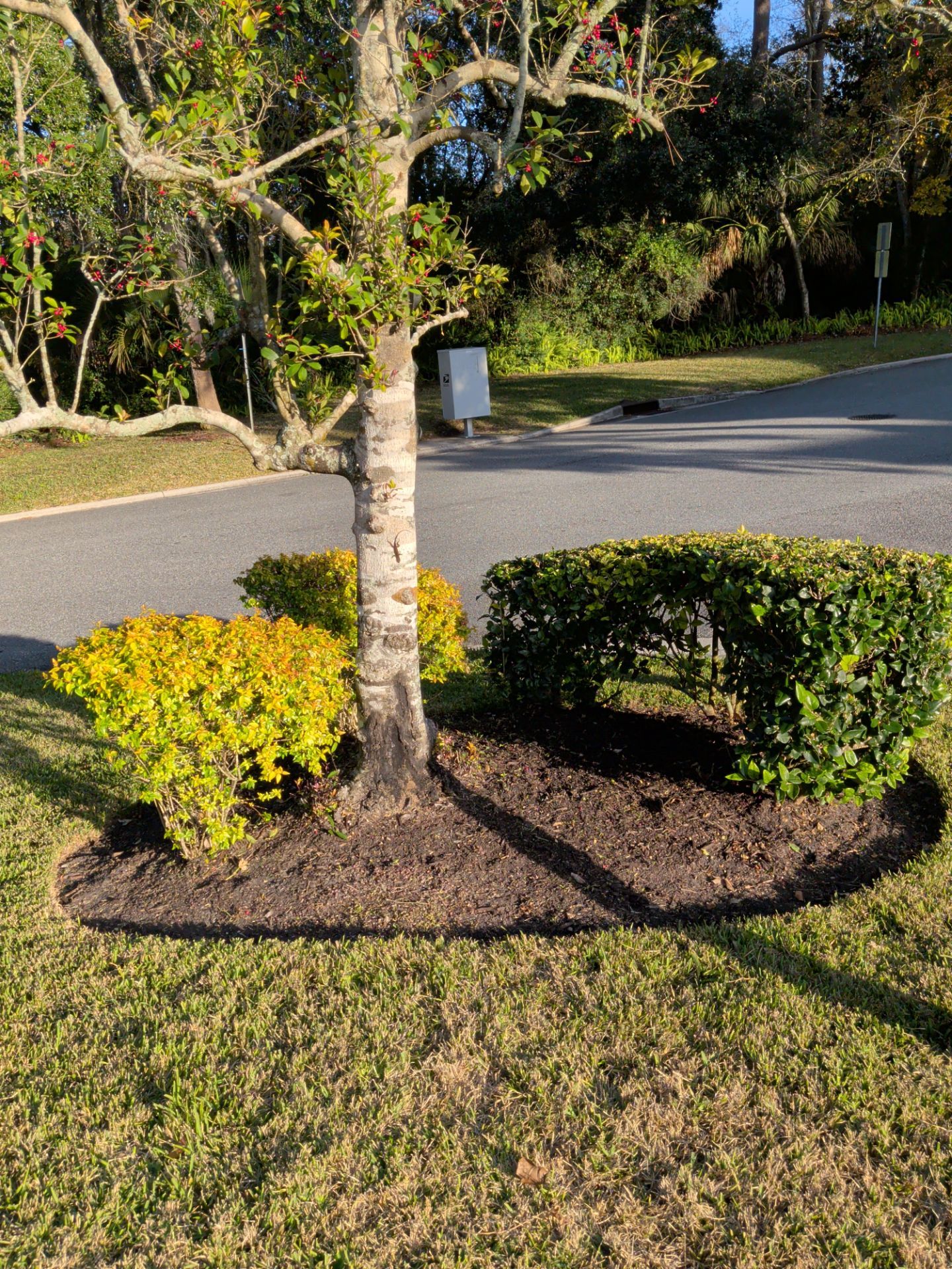 Flower Bed Cleanup & Mulch Preparation — Jacksonville Beach by Harmoni Home Services