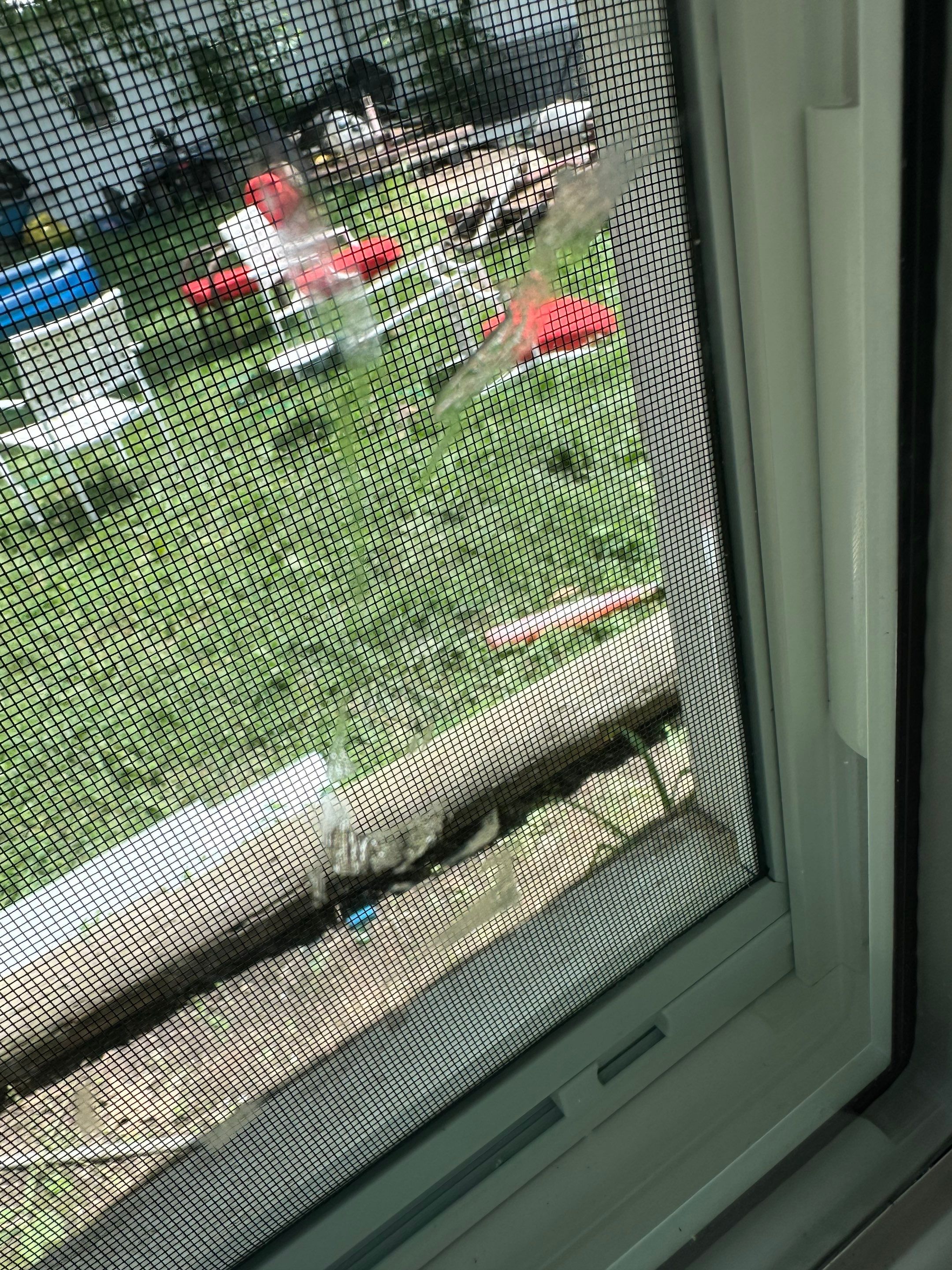 10 Replacement Window Project - Auburn, IN 46706 by Window World Of Fort Wayne