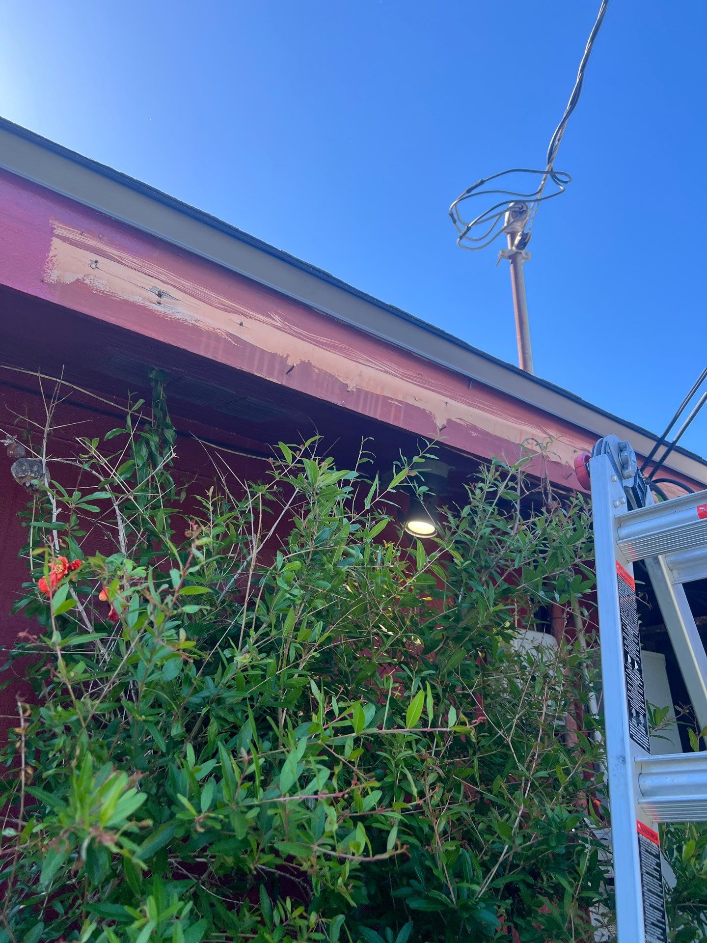 She looks good in Red by Bayfront Roofing and Construction
