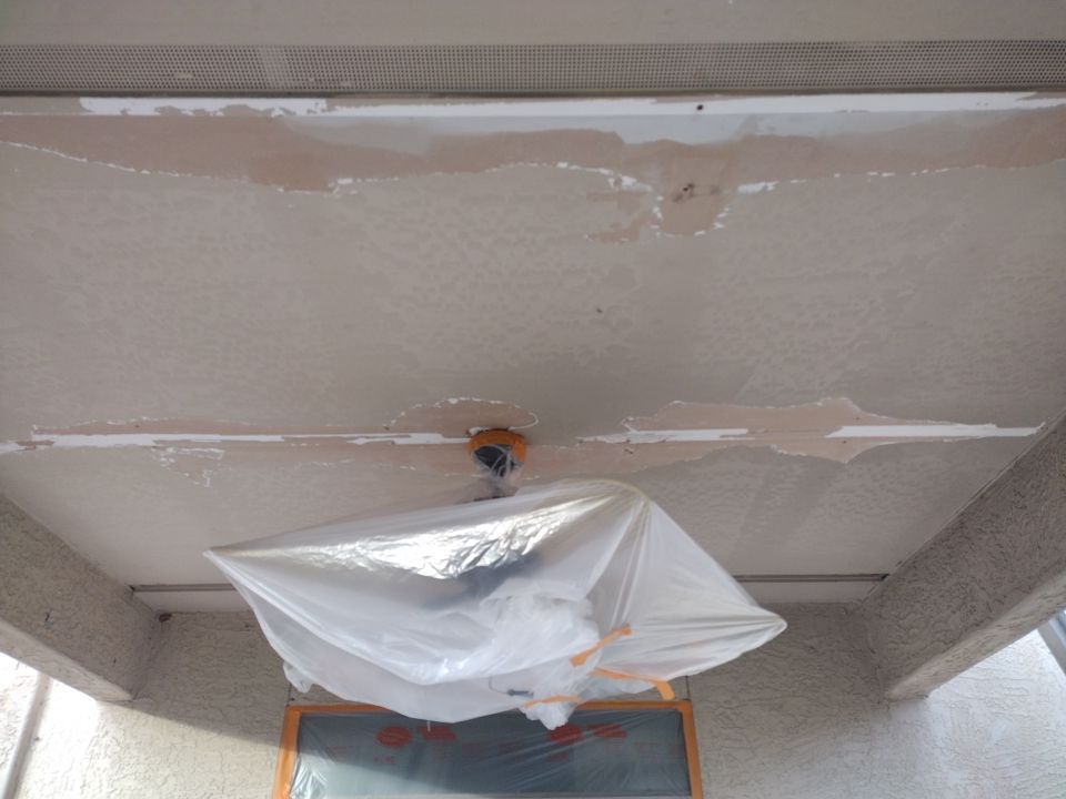 Exterior Painting using Dunn-Edwards EVERSHIELD®  by Crash of Rhinos Painting & Garage Floors