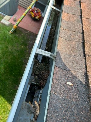 Why Joliet Gutters Clog and Ice Up