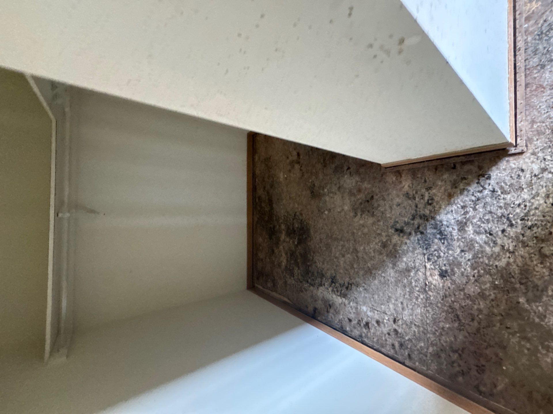 Project in Richmond by EzDry Water Mitigation & Property Restoration