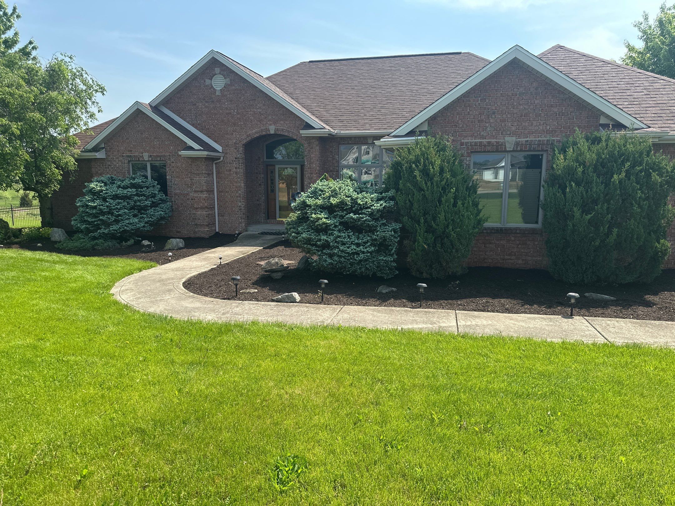 Overgrowth Takeover by Carrs lawn and landscape