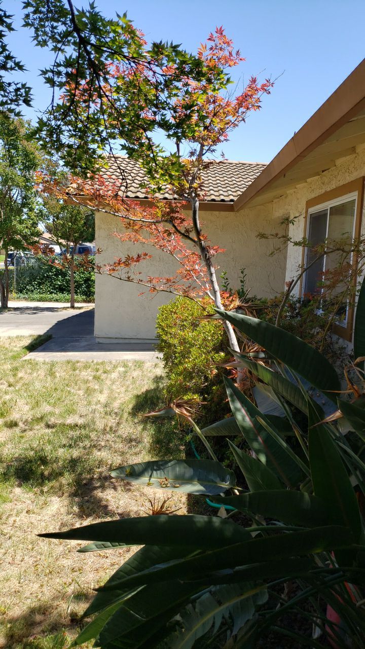 Gutter Installation using Englert LeafGuard Gutters by Byers Enterprises 