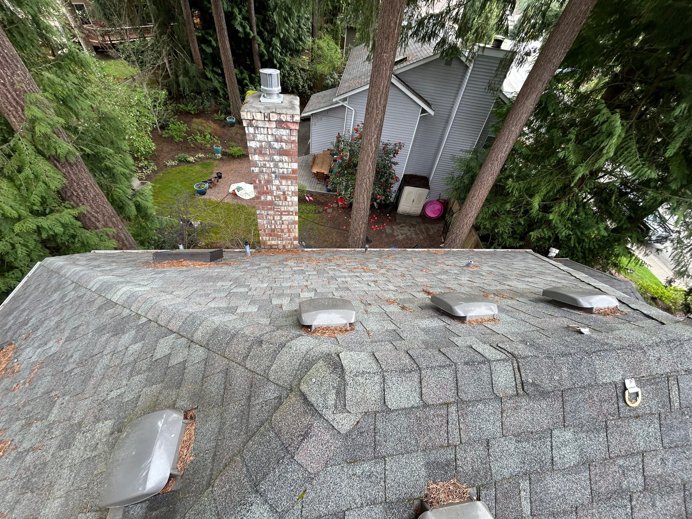 Project in Redmond by Peaks and Valleys Construction