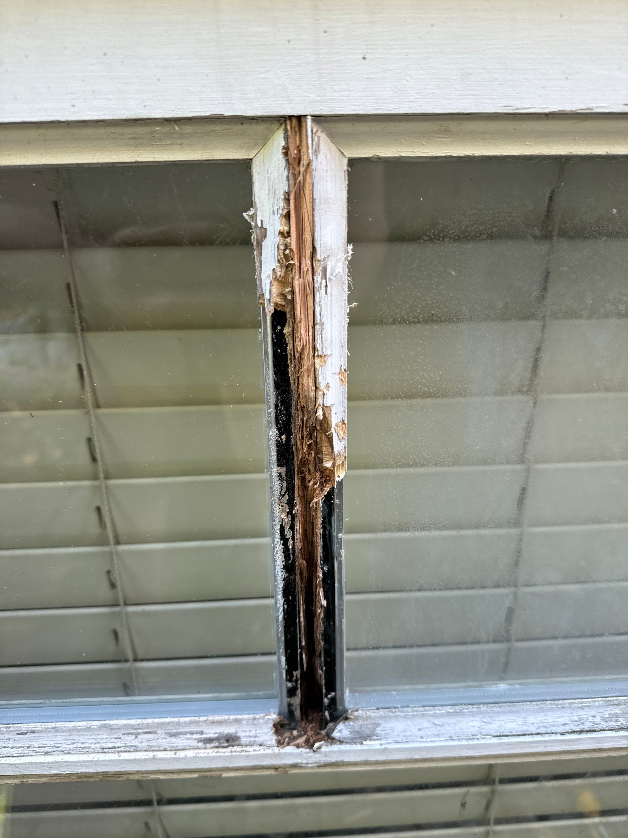 Fascia & Trim Painting - 25th st-  West Vancouver by YVR Construction Group
