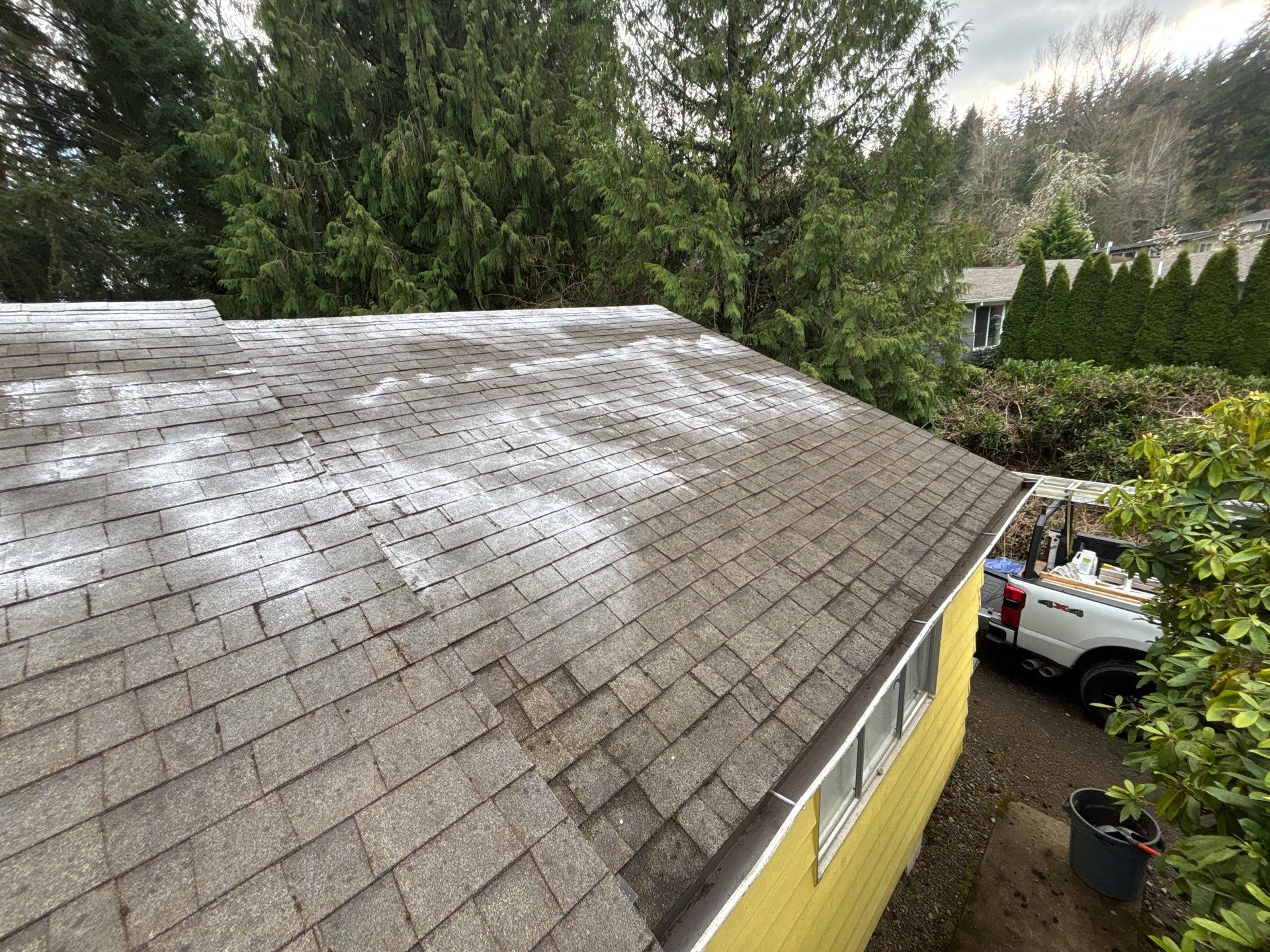 Roof Maintenance in West Linn by Prodigy Roof Solutions