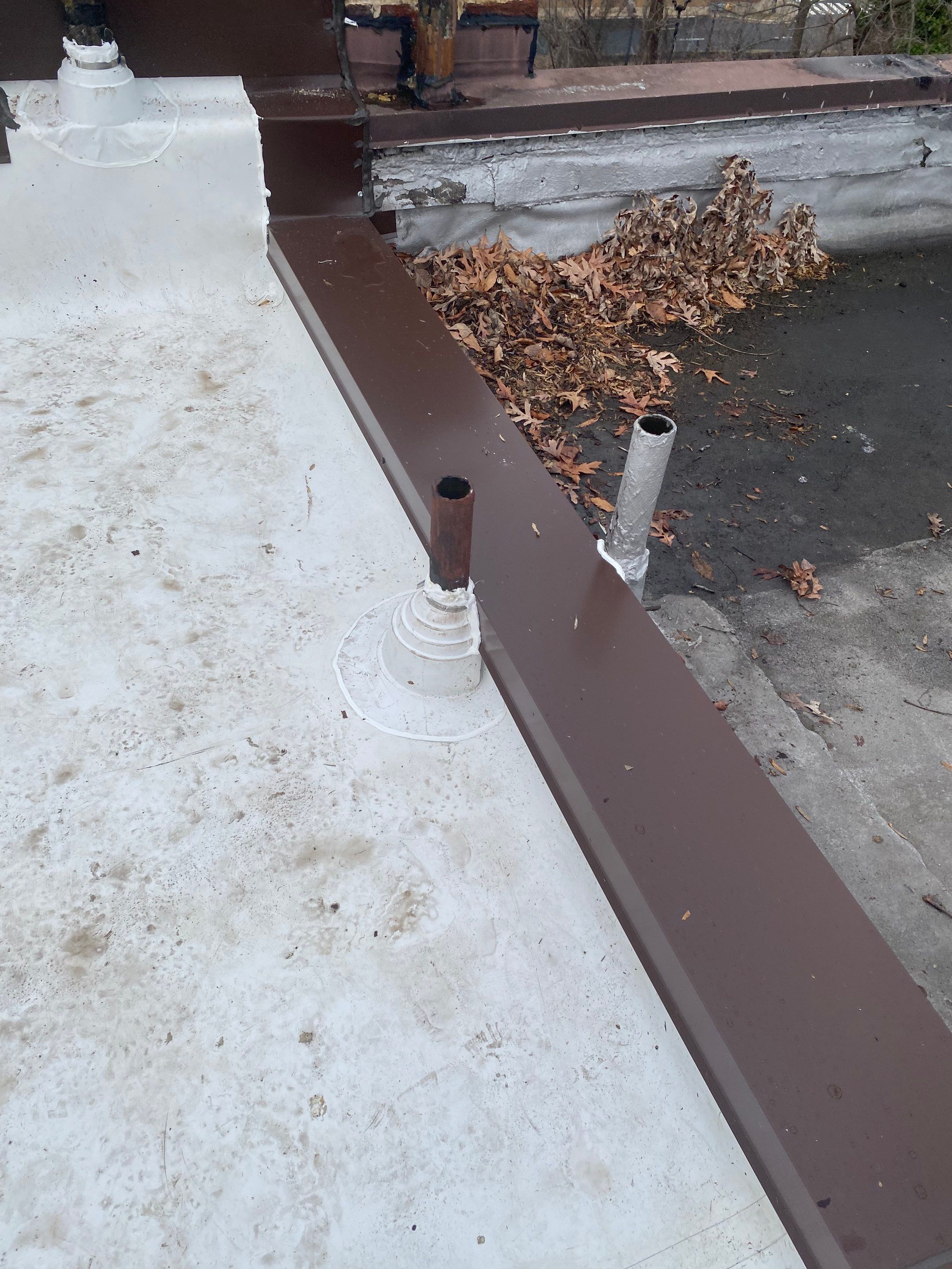 Arlington Flat TPO Roof Installation by RM Banning, Inc.