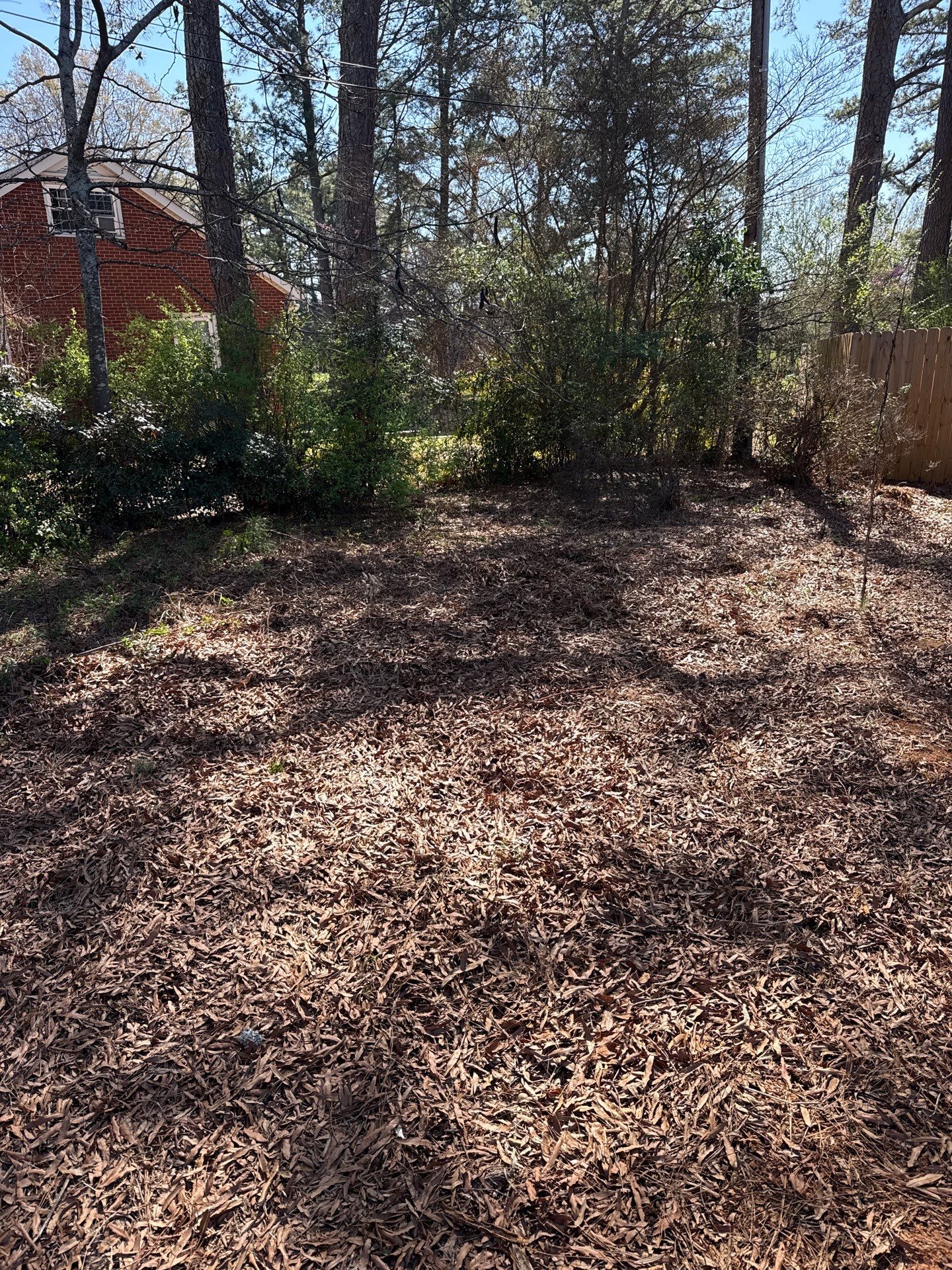 Property Clean Up by Badger Hauling