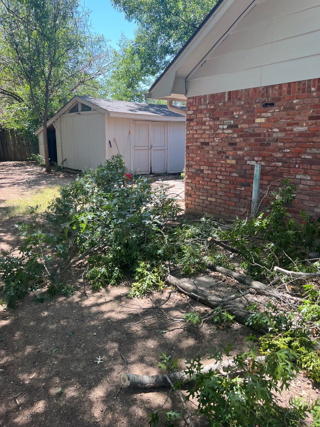 Tree Removals by Clays Services Inc