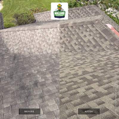 Roof Cleaning and Exterior Soft Wash in MetroWest