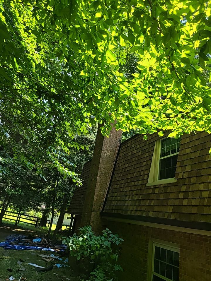 Fairfax Station: CertainTeed Landmark Pro Designer Shingles in Max Def Resawn Shake by RM Banning, Inc.
