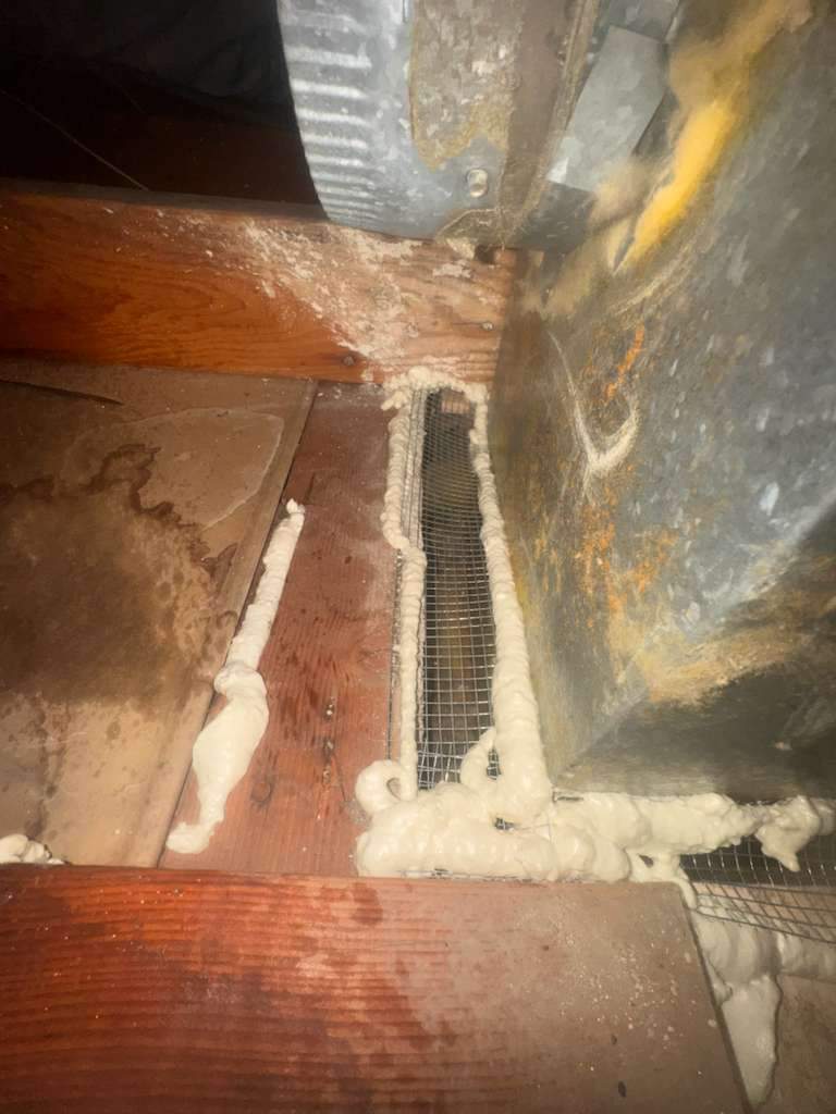 Project by Advanced Attic Solutions by Advanced Attic Solutions