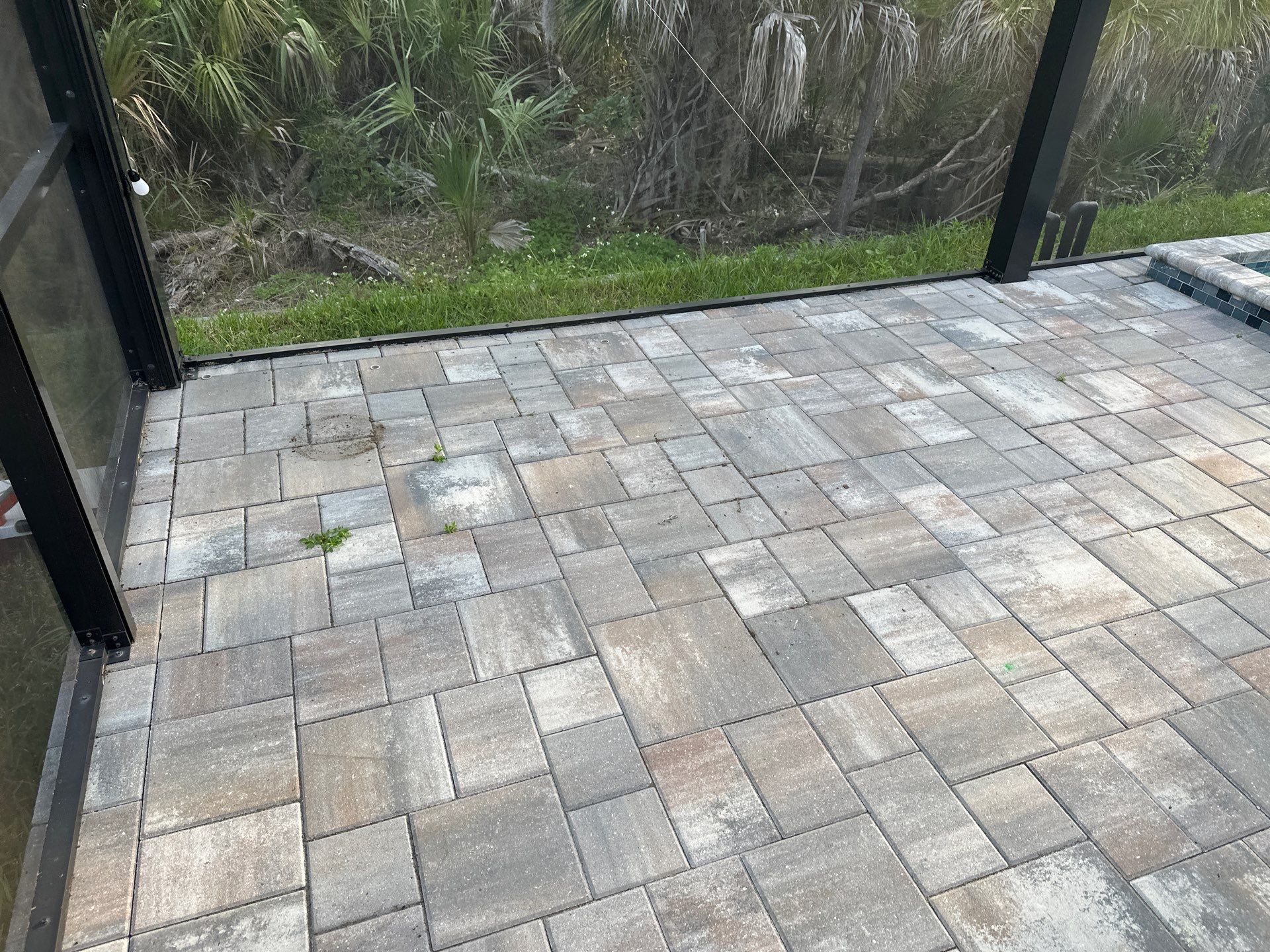 Screen Enclosure & Paver Pool Deck Cleaning in Trevesta Community, Palmetto, FL | Sunshine AquaWash by Sunshine AquaWash