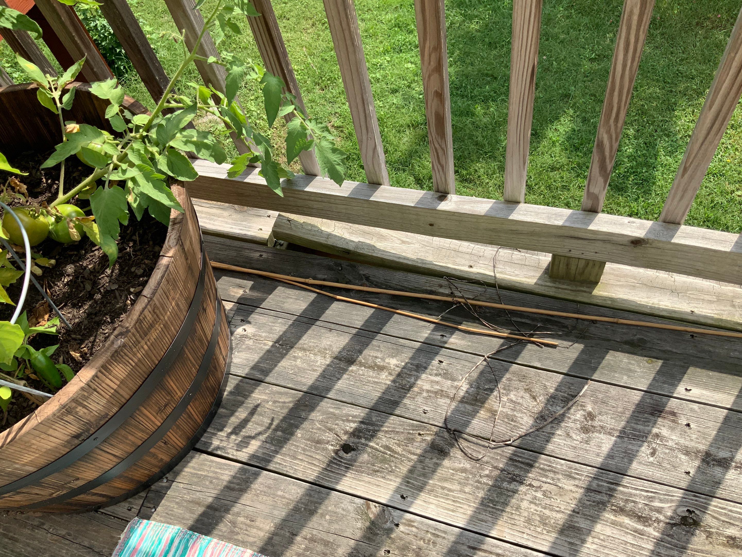 Deck Repair using Olympic Elite stains by Alpha Design Services