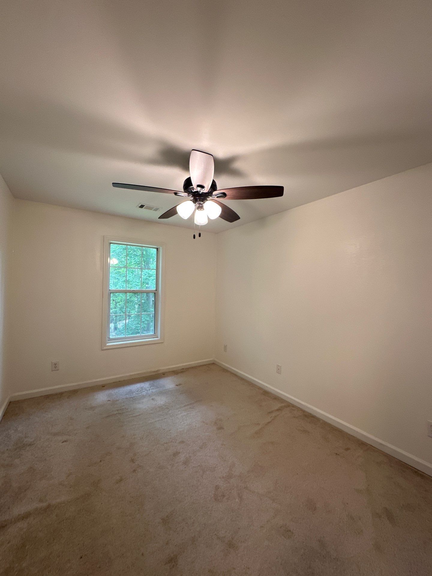 From Bold to Balanced: A Calm, Cohesive Interior Redesign by Atlanta's Paint Doctor