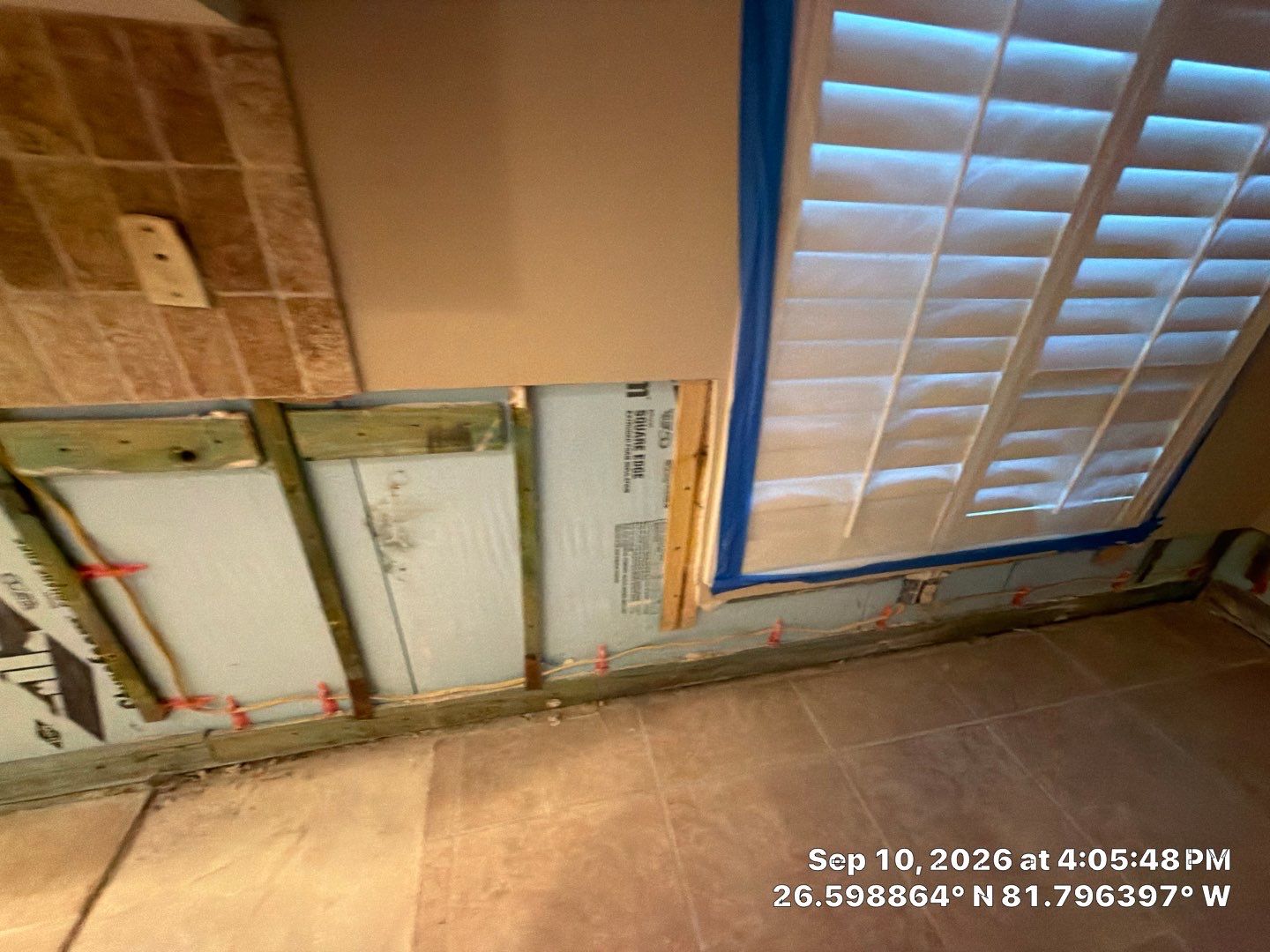 Fort Myers Water Damage Restoration and Professional Mold Remediation by Microscope
