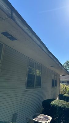 Turtle Shell gutter protection installation in Morris, IL 60450, photograph 13