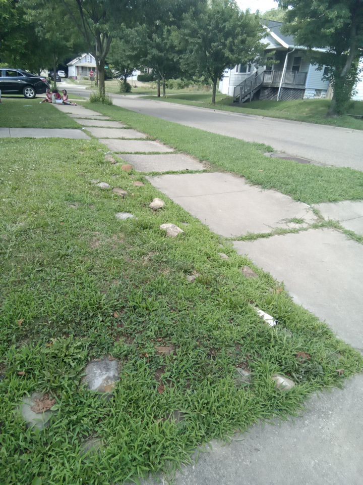 Tree Removal using Tree Removal by Mike Jones & Sons Tree Service LLC 