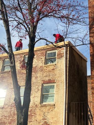 Residential Roofing Installation using Landmark Shingles