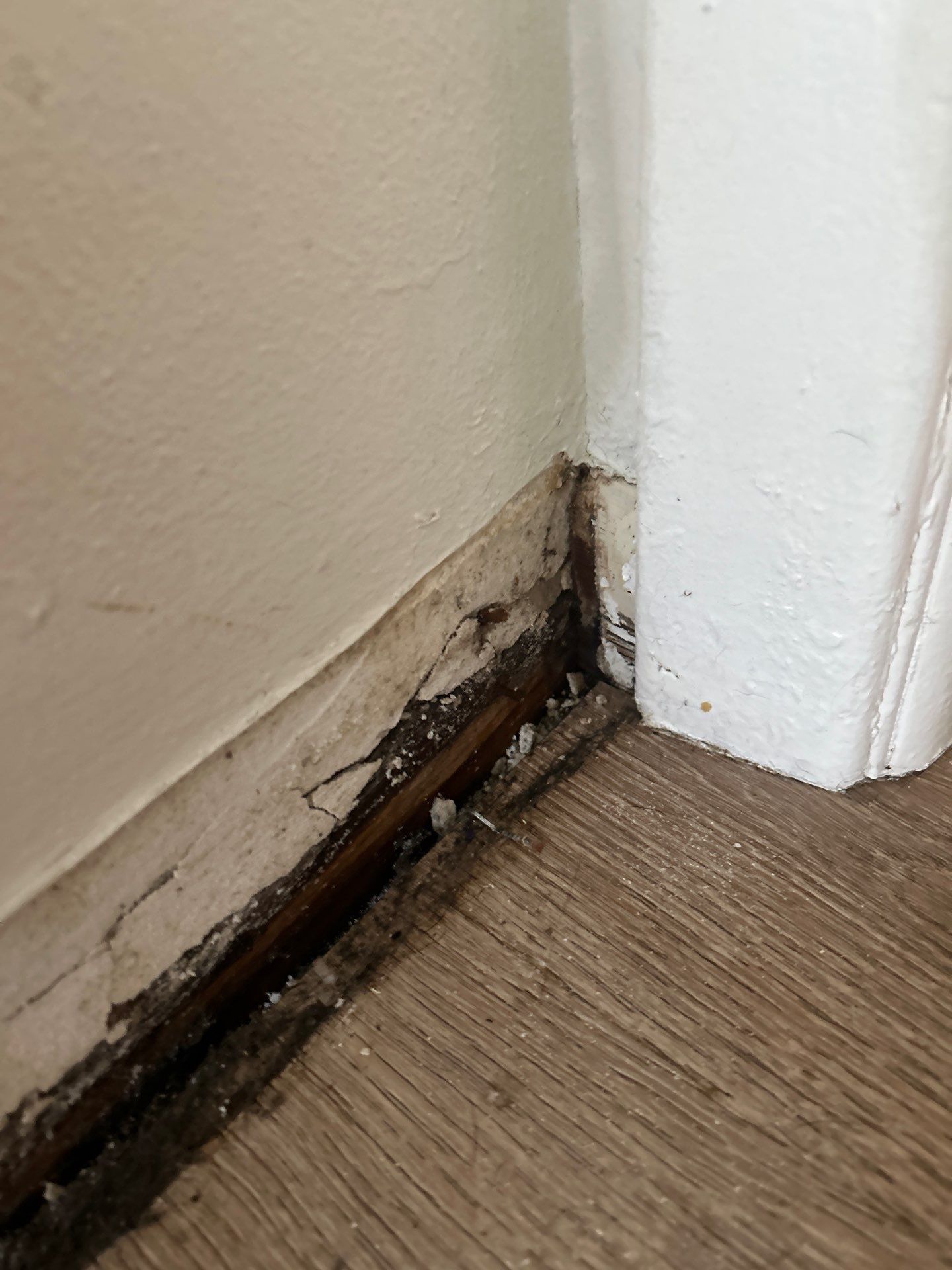 Water Damage Remediation Services by Ampm Restoration Services