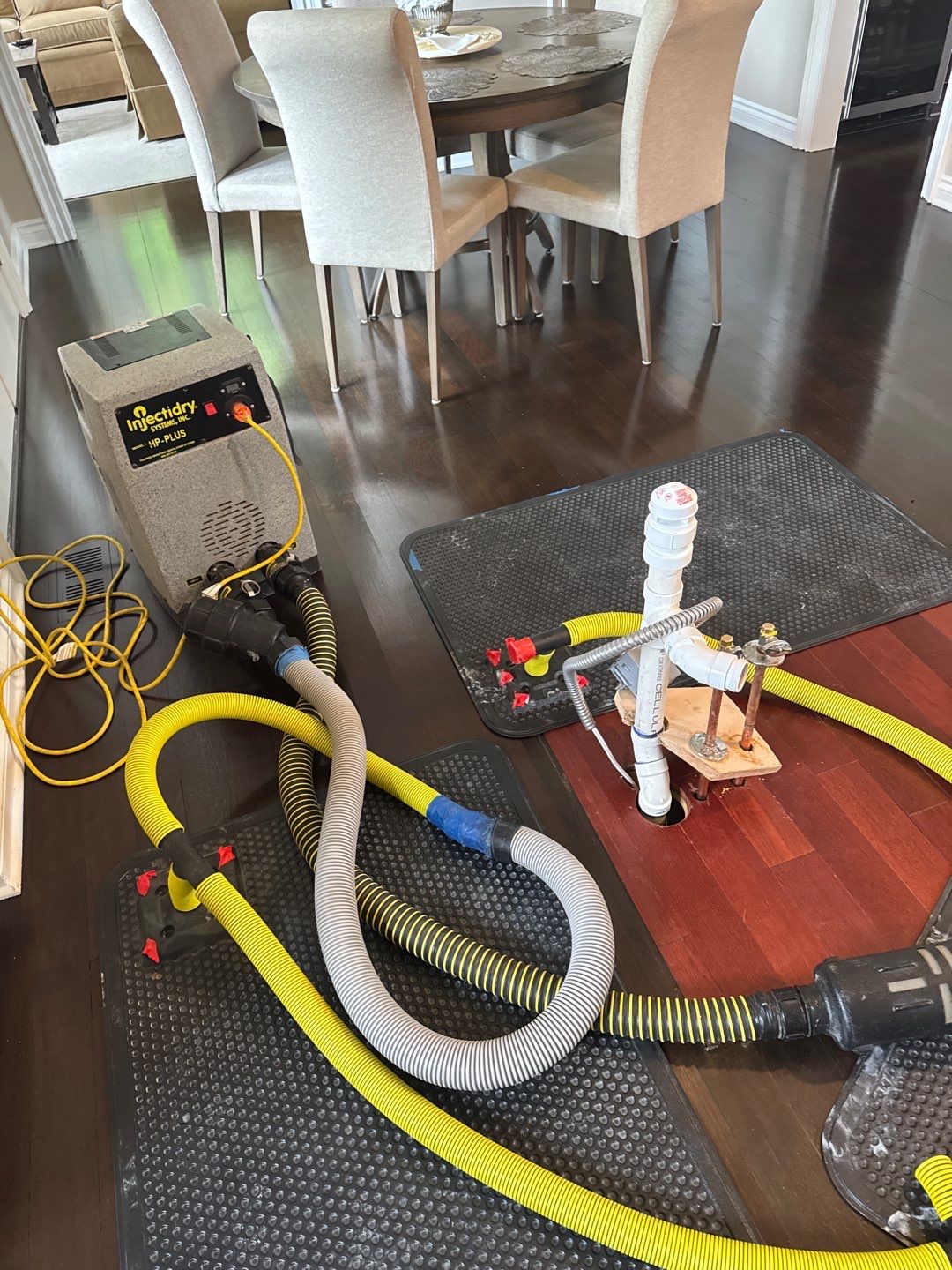 Project in Commerce Twp by EzDry Water Mitigation & Property Restoration