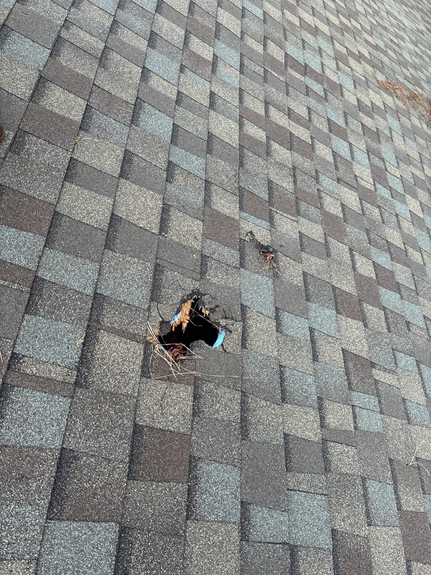 Roof Repair Spring by Roof Repair Company