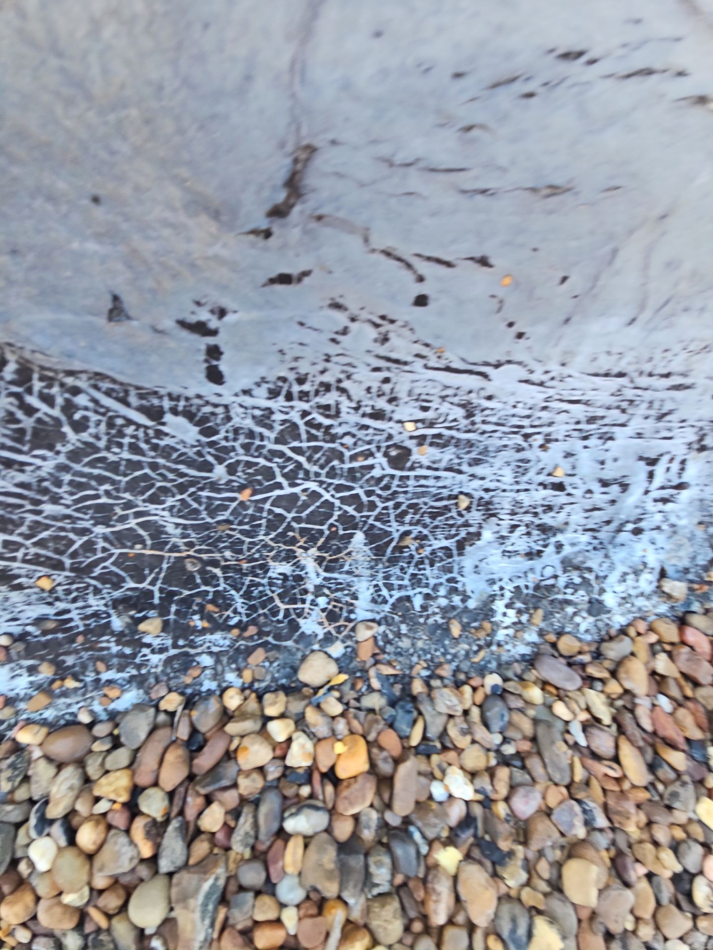 Residential Roofing Repair using Customer requested products by Roof Repair Company