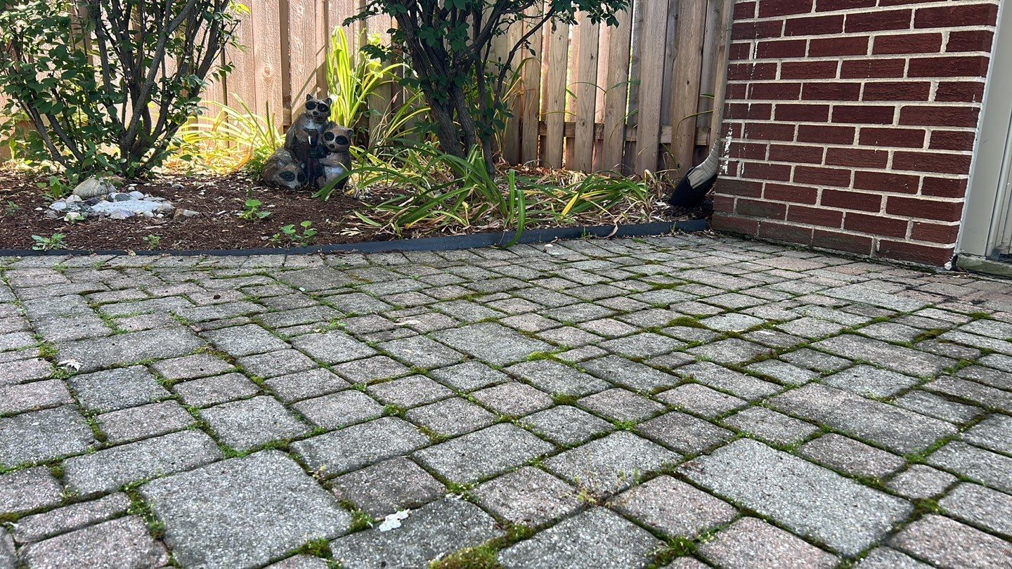 Brick paver clean, sand and seal. using Algaecide, soft wash soap by Northern Power Washing LLC.
