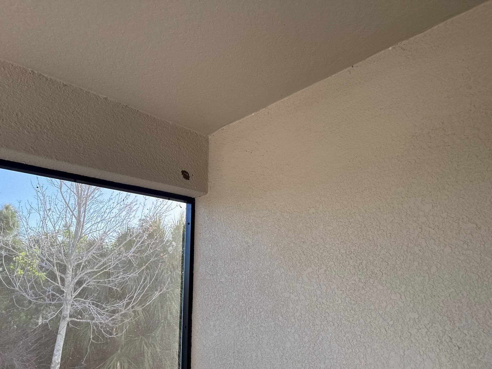 House Wash, Lanai Cleaning & Driveway Washing | Willow Walk Palmetto FL by Sunshine AquaWash