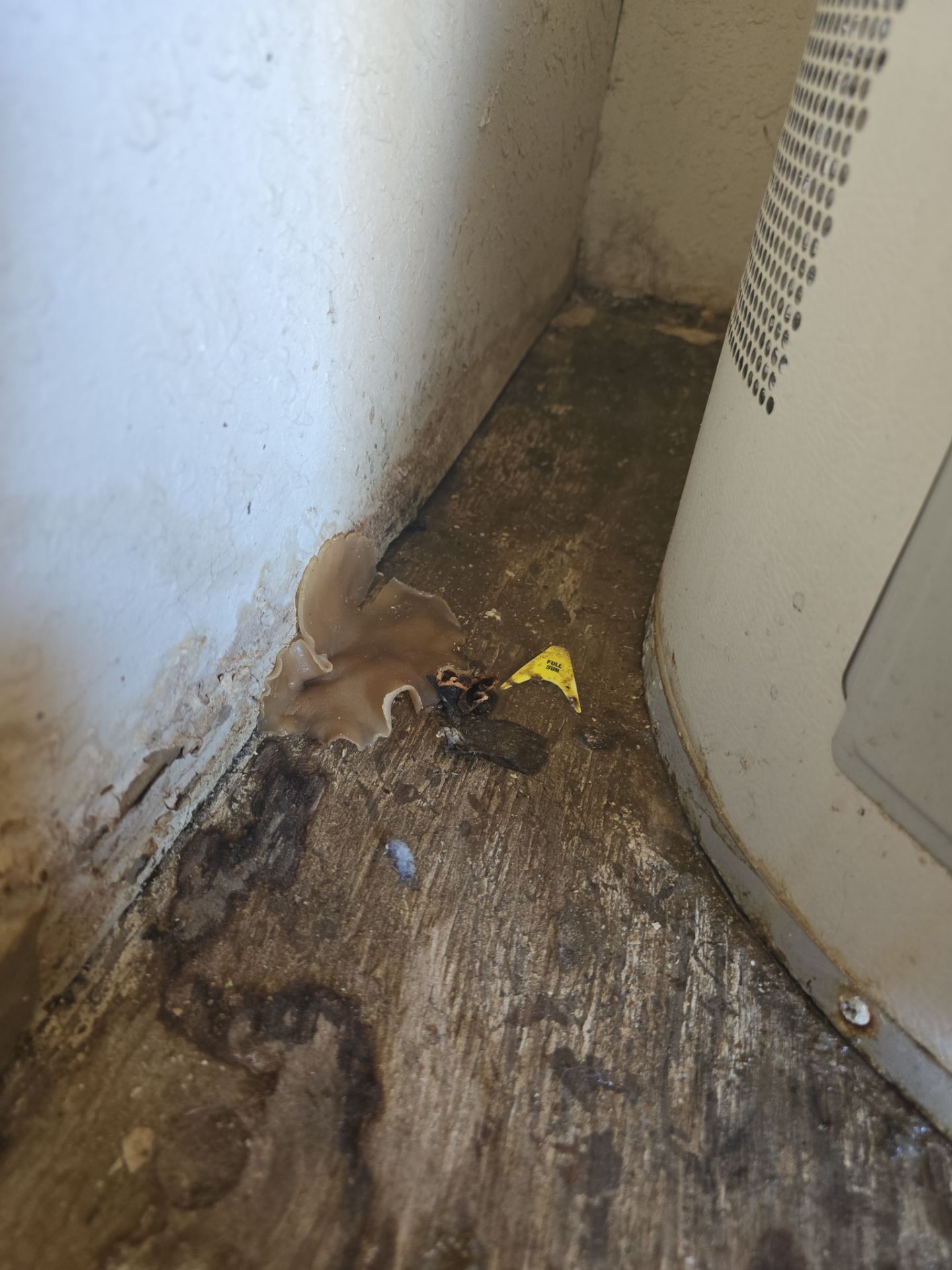 Another Water Heater Replaced by Innova Air & Heat