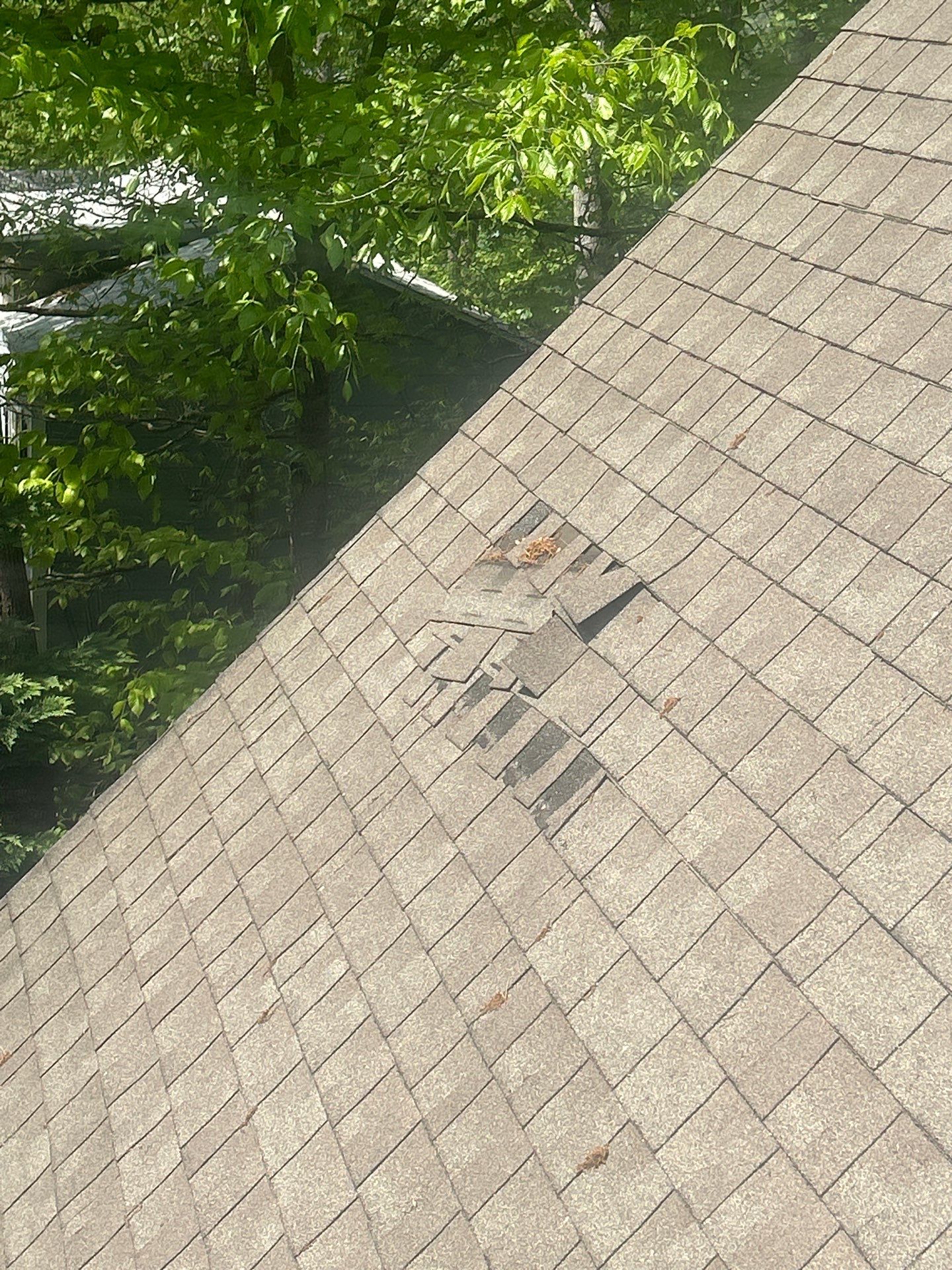Project in Westminster by Roofsters