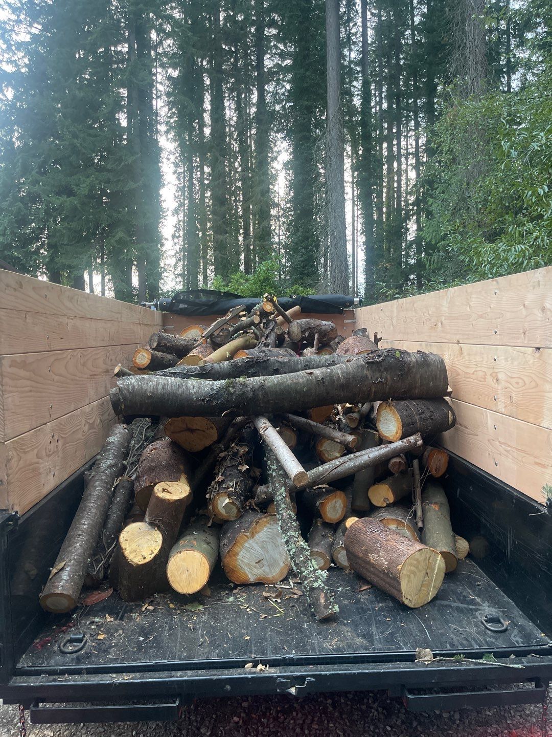 Tree Removal using Tree Removal by Mike Jones & Sons Tree Service LLC 