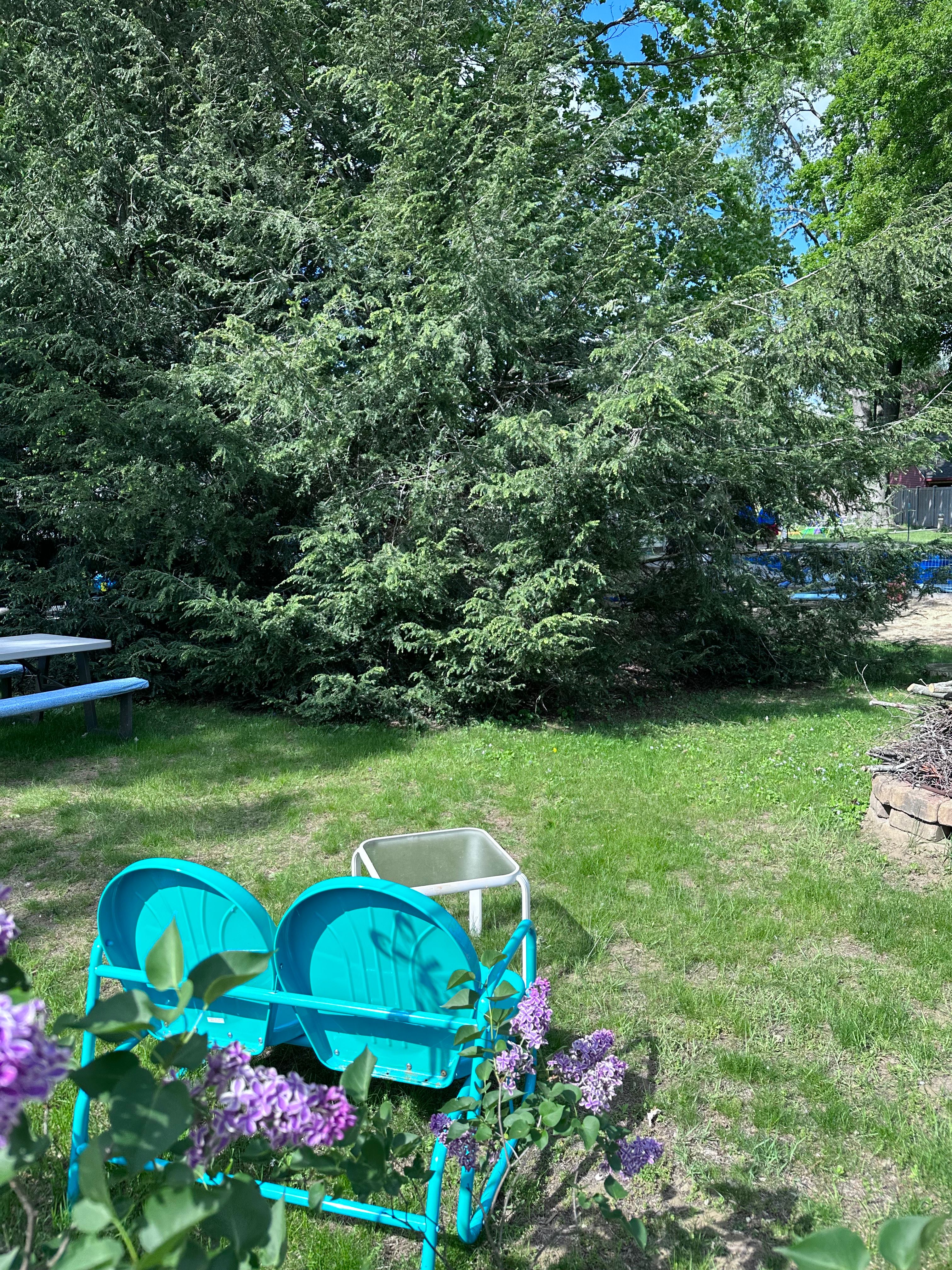 Small Pond For Our Neighbors in South Deerfield by Wicked Water Gardens