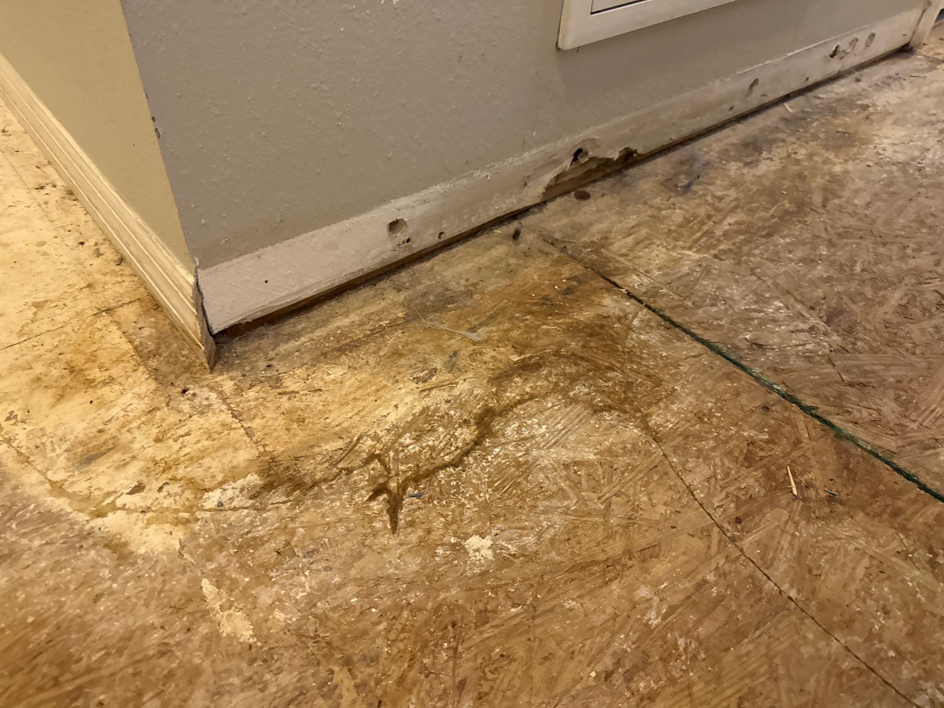 Project in Davenport by You Restorations LLC DBA YOU-Home