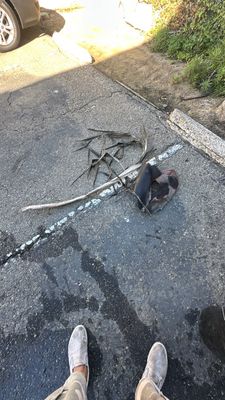 Orange County Commercial Gutter Cleaning