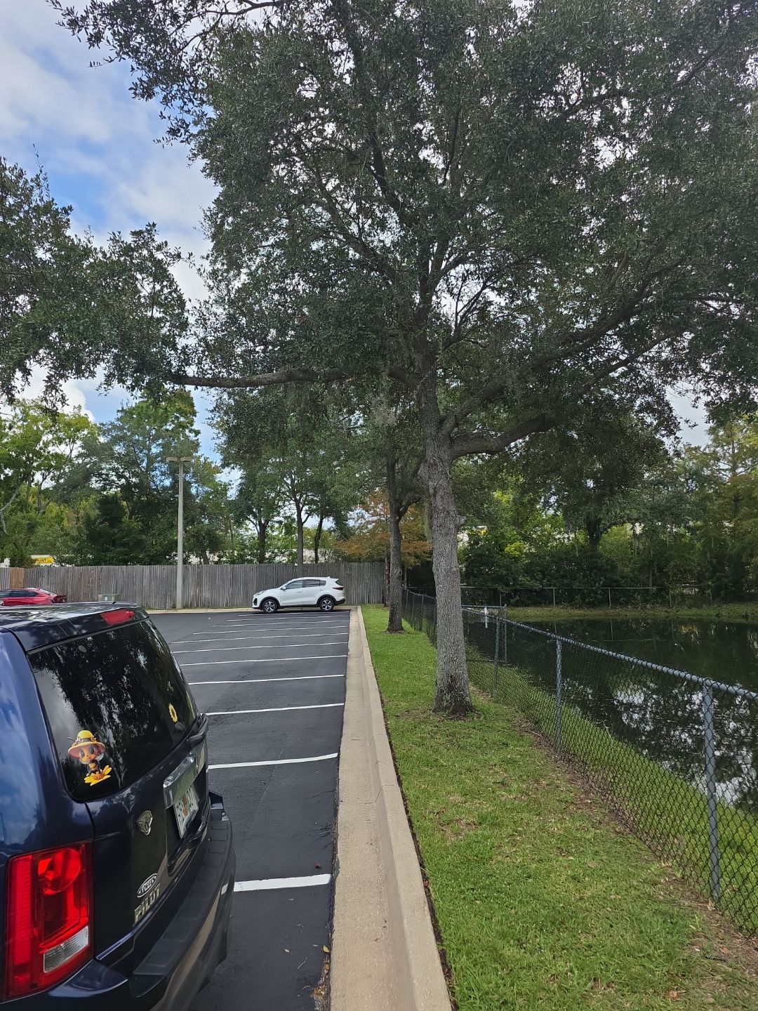 Commercial Property | Tree Removal & Trimming by ProGreen Services