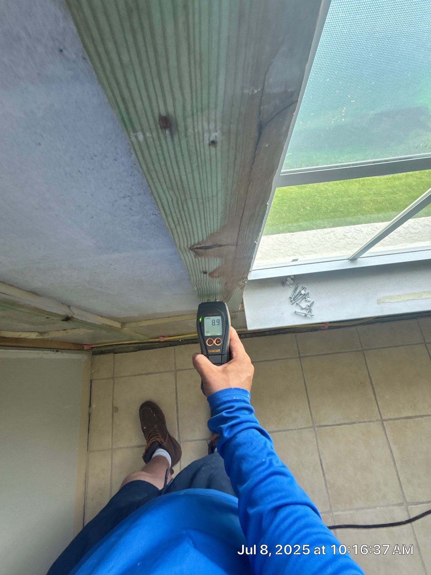 Mold Damage Restoration & Removal in Venice, FL by Ampm Restoration Services 