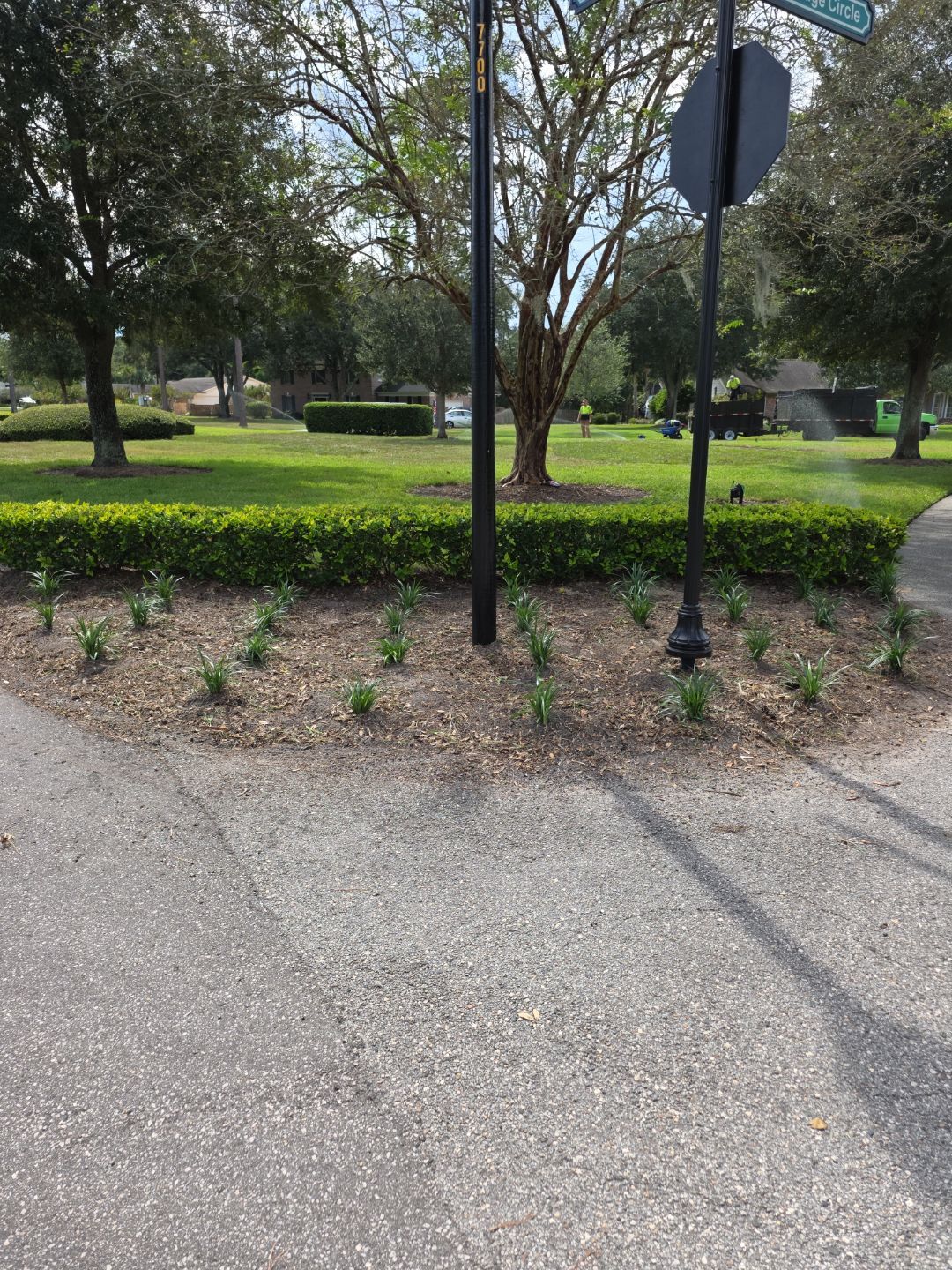 Deerwood Community | Island Landscape Replacement by ProGreen Services