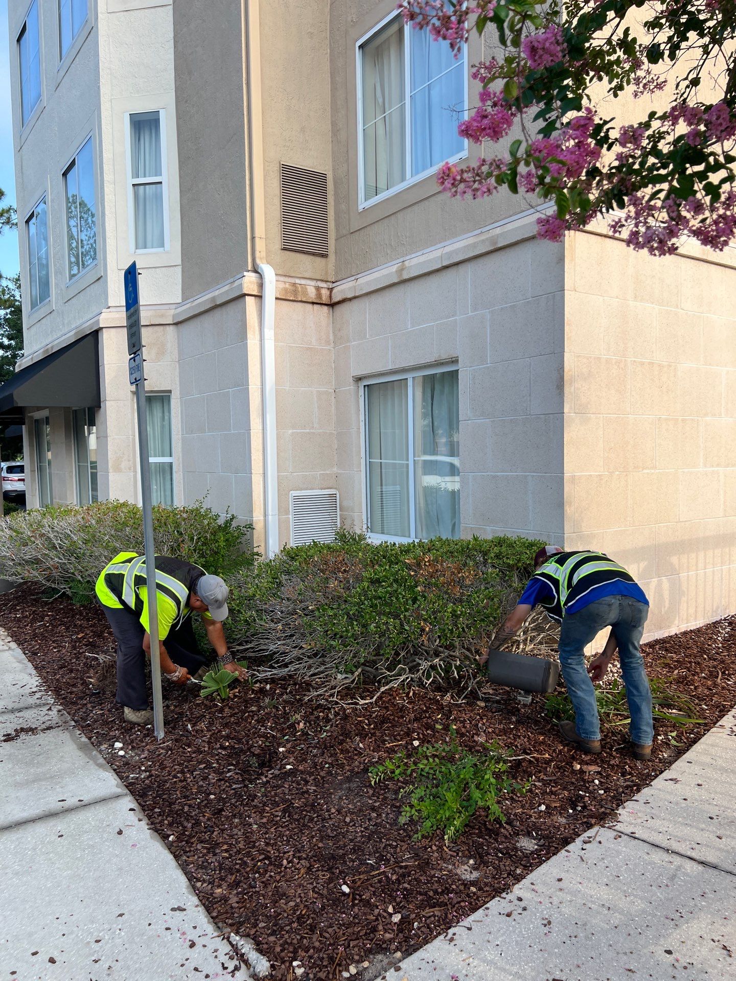 Homewood Suites | Tree Service by ProGreen Services