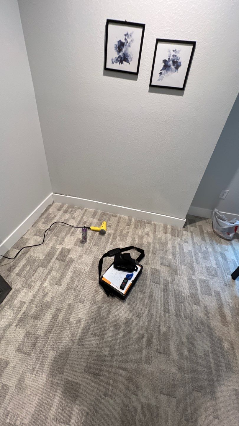 Mold Remediation  by Accountable Home Services