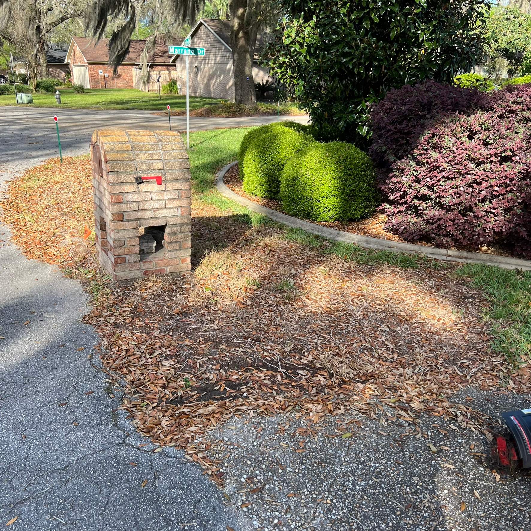 Sod Installation | Orange Park by ProGreen Services