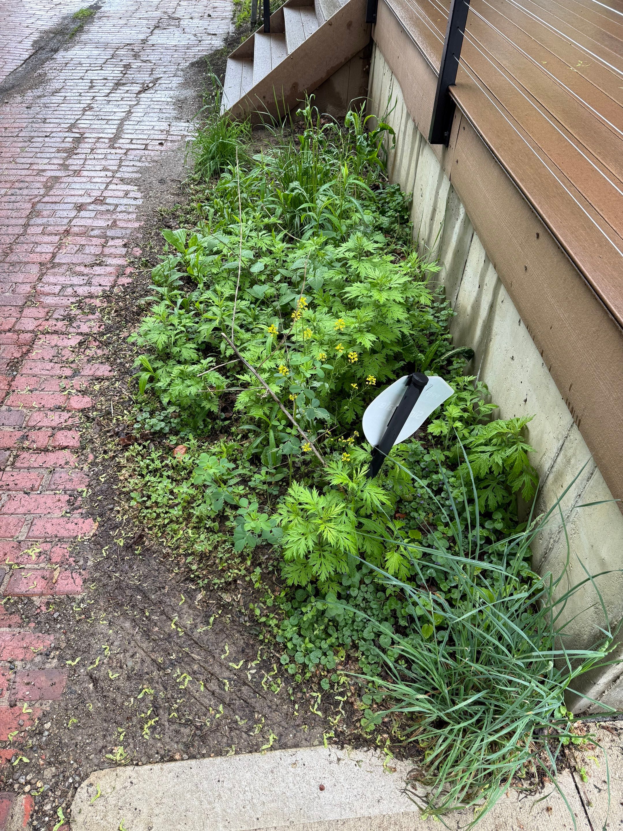 Ohio City Box Project by Elm Rose Gardens