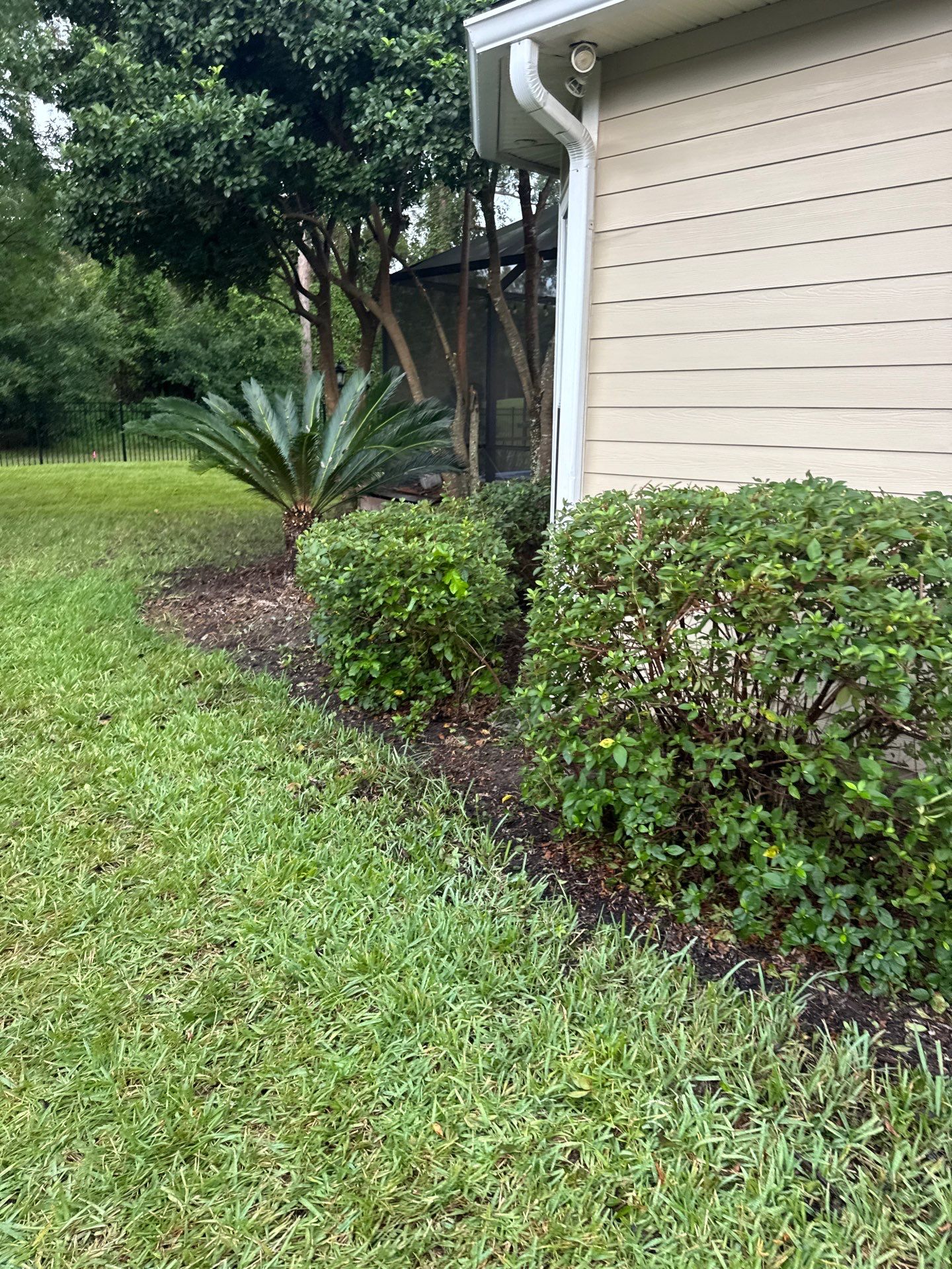 Residential | Sod Installation & Tree Trimming by ProGreen Services